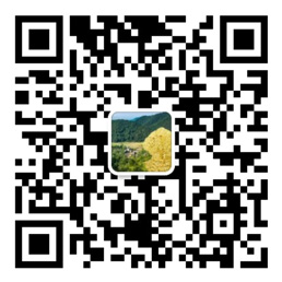 网信彩票welcome